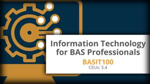 TEST Information Technology for BAS Professionals-1