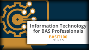 TEST Information Technology for BAS Professionals-3